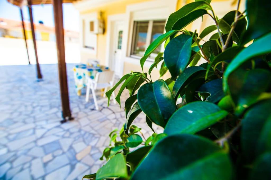 Chios With View To The Sea Apartment *
