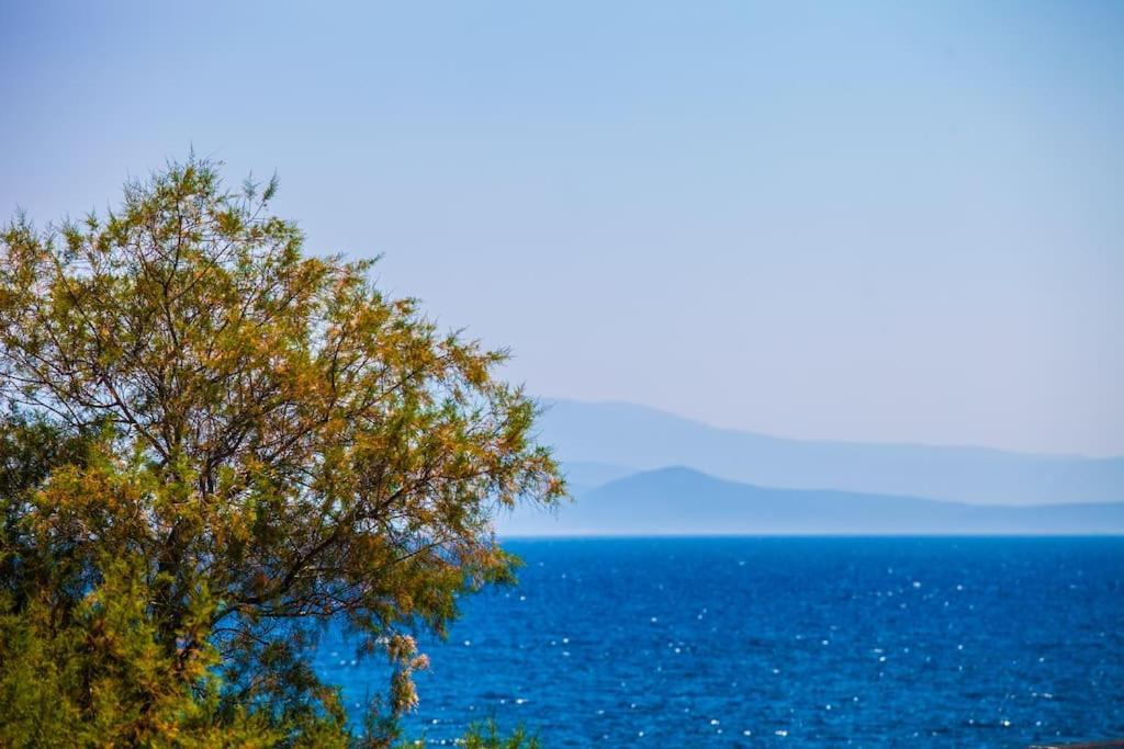 Chios With View To The Sea * Chios Town